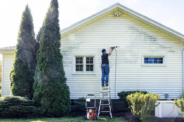 Best Graffiti Removal  in Fulda, MN